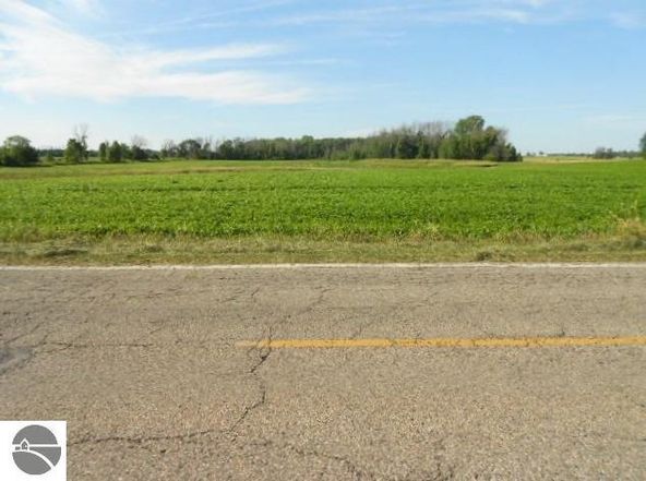 TBD E Stevenson Lake Road: E Stevenson Lake Road, Clare, MI 48617